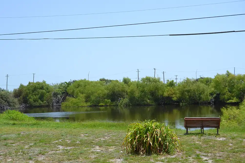 bench-infront-of-lake