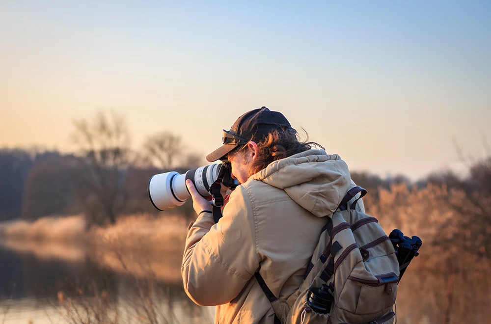 a man photographing wildlife